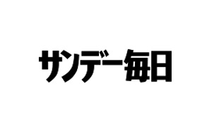 掲載実績２